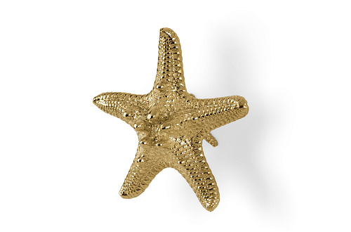 Poignée décorative Étoile de mer Linckia